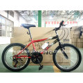 Herstellung 18 Speed ​​Student MTB 20 &quot;Mountain Bike (FP-KDB-17091)